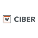 Ciber-png